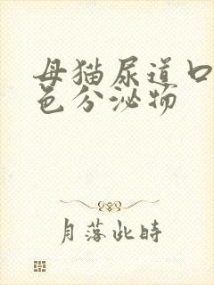 母猫尿道口流黄色分泌物