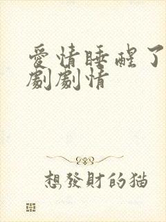 爱情睡醒了电视剧剧情