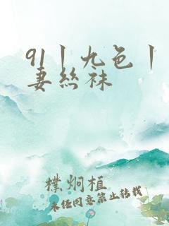 91丨九色丨人妻丝袜