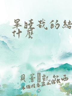 毕晓哉的结局是什么