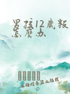 男孩12岁叛逆怎么办