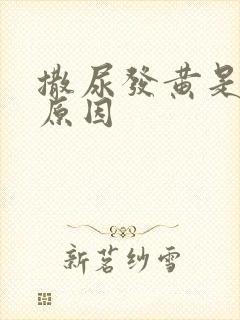 撒尿发黄是什么原因