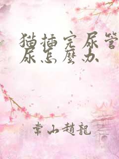 猫插完尿管后漏尿怎么办