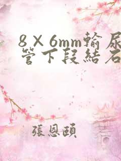 8×6mm输尿管下段结石