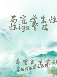 局灶增生性硬化性iga肾病