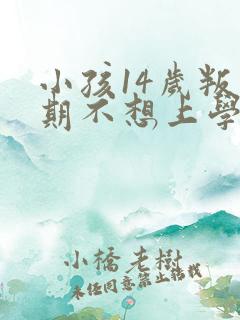 小孩14岁叛逆期不想上学怎么办