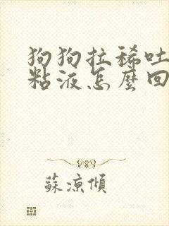 狗狗拉稀吐黄沫粘液怎么回事