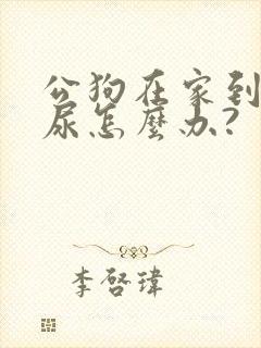 公狗在家到处拉尿怎么办?