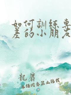 如何训练专注力差的小朋友