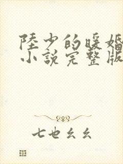 陆少的暖婚新妻小说完整版本