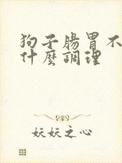 狗子肠胃不好吃什么调理