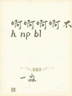 啊啊啊啊不要了h np bl