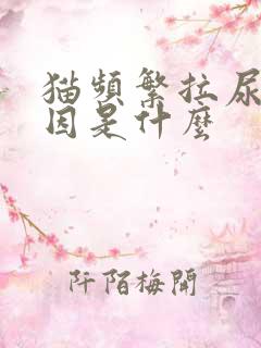 猫频繁拉尿的原因是什么