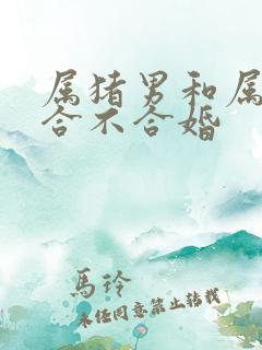 属猪男和属马女合不合婚