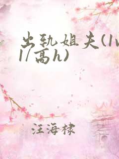 出轨姐夫(1v1/高h)