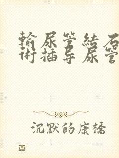 输尿管结石做手术插导尿管