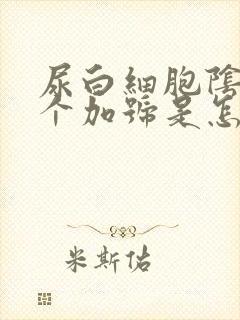 尿白细胞阴性一个加号是怎么回事