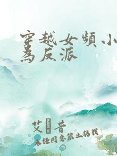 穿越女频小说成为反派