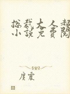 总裁大人超给力小说免费阅读