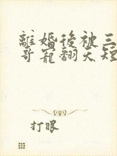 离婚后被三个哥哥宠翻天短剧免费观看