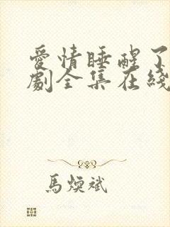 爱情睡醒了电视剧全集在线观