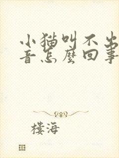 小猫叫不出来声音怎么回事