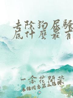 去除狗尿骚味到底什么最有效