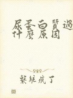 尿蛋白质过高是什么原因