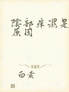 阴部痒湿是什么原因