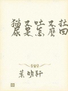 猫又吐又拉不出尿是怎么回事