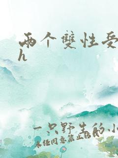 两个双性受互攻h