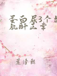 蛋白尿3个加号肌酐正常