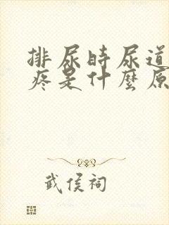 排尿时尿道有些疼是什么原因