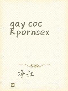 gay cockpornsex