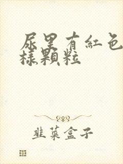 尿里有红色沙子样颗粒