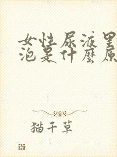 女性尿液里有泡泡是什么原因引起的