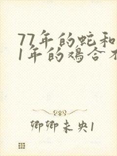 77年的蛇和81年的鸡合不合婚