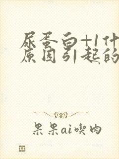 尿蛋白+1什么原因引起的