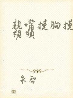 亲嘴摸胸摸下面视频