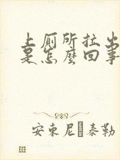 上厕所拉出血了是怎么回事