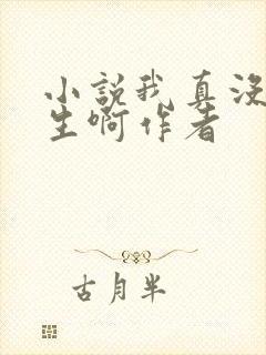 小说我真没想重生啊作者