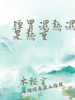 脾胃湿热湿重还是热重