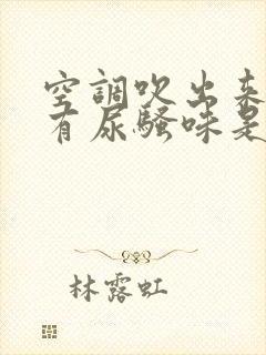 空调吹出来的风有尿骚味是咋回事?