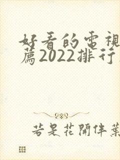 好看的电视剧推荐2022排行榜