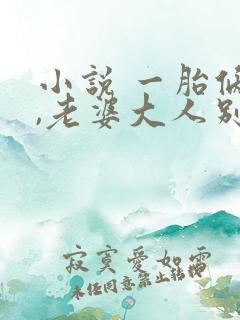 小说 一胎俩宝,老婆大人别想逃