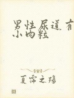 男性尿道有两个小肉粒