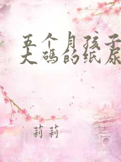 五个月孩子穿多大码的纸尿裤