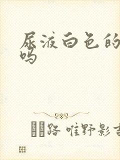 尿液白色的正常吗