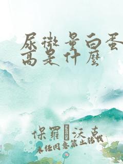 尿微量白蛋白偏高是什么