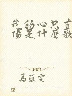 我的心只有你能伤是什么歌